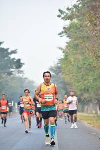 BIB: 26660
                            <button type="button" onclick="openModal(10135345)" class="btn btn-primary btn-sm float-right btn-popup" data-toggle="modal" data-target=".modal-high-quality">
                        <i class="fas fa-shopping-cart"></i> Add to Cart
                    </button>
                                            <button type="button" onclick="isThisMe(10135345, true)" class="btn btn-success btn-sm float-right btn-popup btn-isme hidden" data-toggle="tooltip" data-placement="bottom" title="นี่คือรูปของคุณใช่ไหม คลิกที่นี่เพื่อเอาเข้าอัลบั้ม">
                        <i class="fas fa-plus"></i> Add to album
                    </button>
                    <button type="button" onclick="isThisMe(10135345, false)" class="btn btn-warning btn-sm float-right btn-popup btn-isnotme hidden">
                        <i class="fas fa-ban"></i> Remove from album
                    </button>
